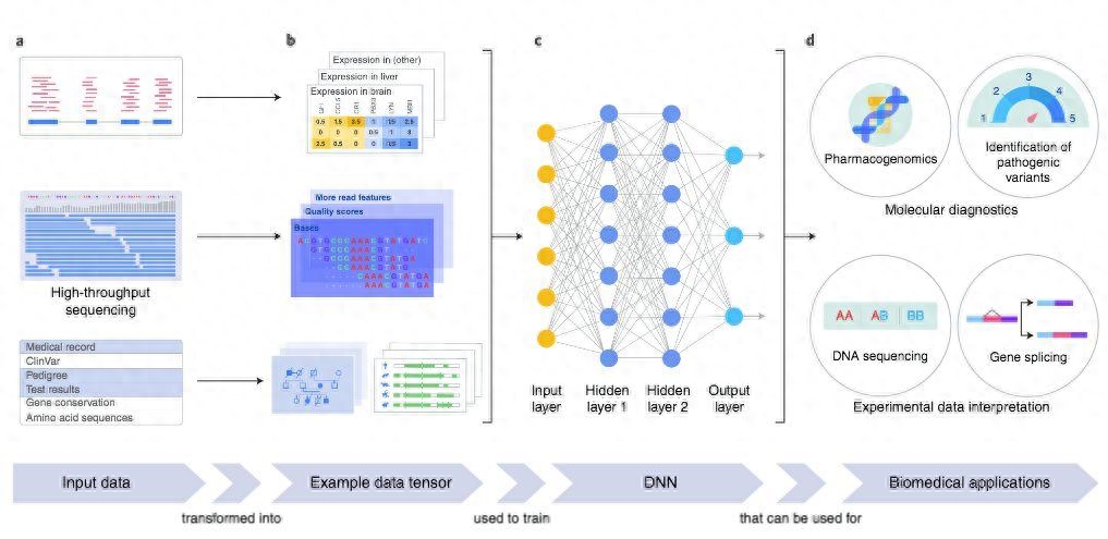 Artificial intelligence models that leverage deep learning and neural networks to achieve complex tasks