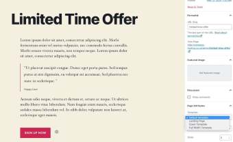创建 WordPress 登陆页面:分步指南