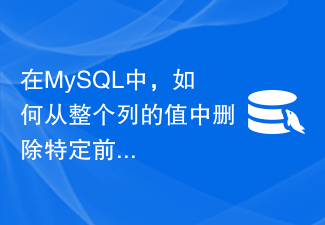 在MySQL中，如何从整个列的值中删除特定前缀并更新它们？