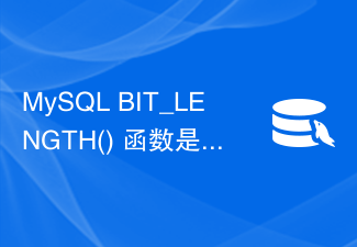 MySQL BIT_LENGTH() 函数是否是多字节安全的？