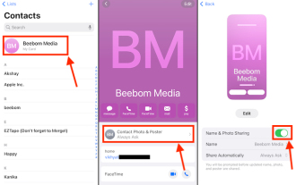 6 Pembetulan: Bagaimana untuk menyelesaikan masalah poster kenalan tidak dipaparkan dengan betul pada iPhone?