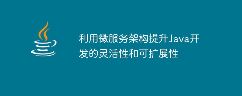 マイクロサービス アーキテクチャを利用して Java 開発の柔軟性と拡張性を向上