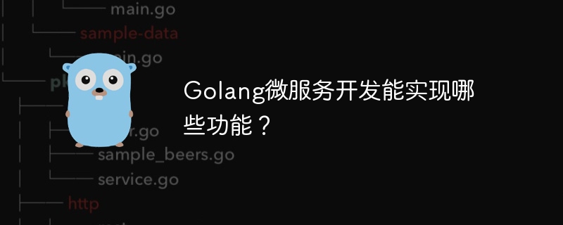 Apakah fungsi yang boleh dicapai oleh pembangunan perkhidmatan mikro Golang?