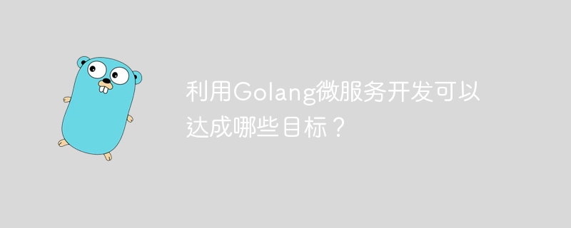 利用Golang微服务开发可以达成哪些目标？