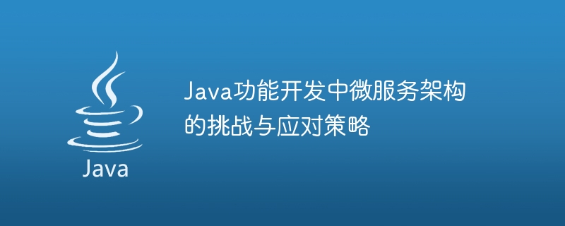 Java機能開発におけるマイクロサービスアーキテクチャの課題と対応戦略