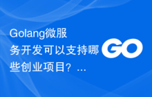 Golang微服务开发可以支持哪些创业项目？