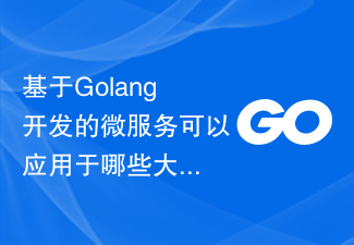 Auf welche Großsysteme können auf Golang-Basis entwickelte Microservices angewendet werden?