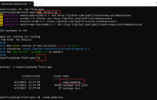 Windows 10 中 npm 软件包的默认安装位置在哪里？