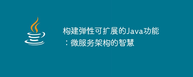 构建弹性可扩展的Java功能：微服务架构的智慧