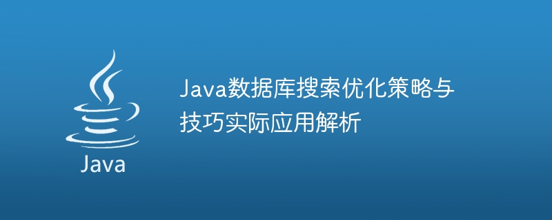 Java 데이터베이스 검색 최적화 전략 및 기법의 실제 적용 분석