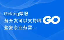 Golang微服务开发可以支持哪些复杂业务需求？