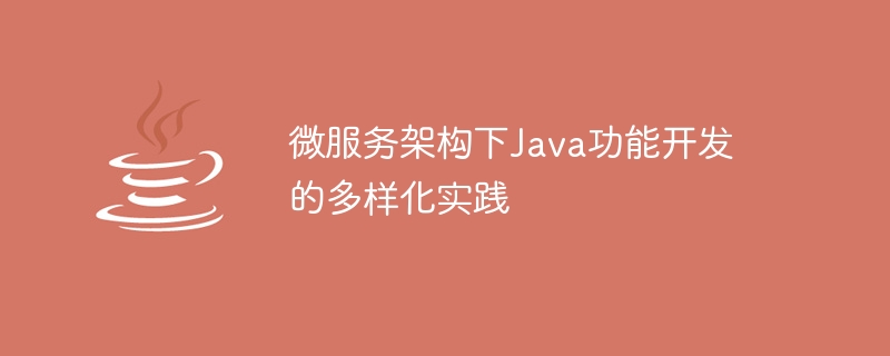 微服务架构下Java功能开发的多样化实践