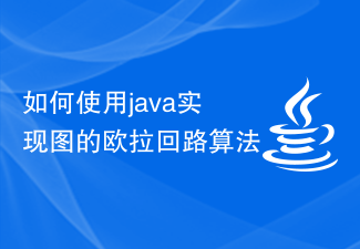 How to use java to implement the Euler cycle algorithm of graphs