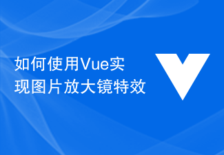 Vue を使用して画像の虫眼鏡効果を実装する方法