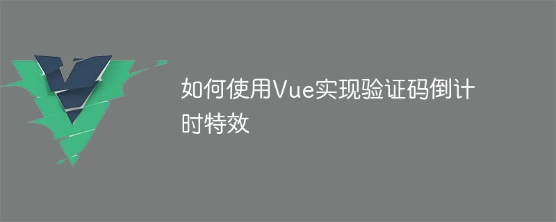 Vue를 사용하여 인증 코드 카운트다운 효과를 구현하는 방법