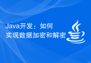 Java开发：如何实现数据加密和解密