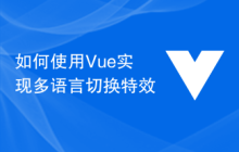 如何使用Vue实现多语言切换特效