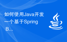 如何使用Java开发一个基于Spring Boot的微服务应用