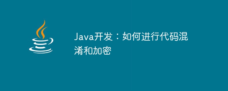 Java开发：如何进行代码混淆和加密