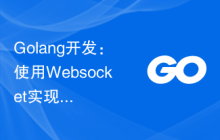 Golang开发：使用Websocket实现实时聊天应用