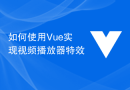 如何使用Vue实现视频播放器特效