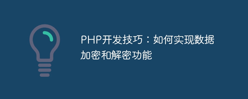 Kemahiran pembangunan PHP: Bagaimana untuk melaksanakan fungsi penyulitan dan penyahsulitan data