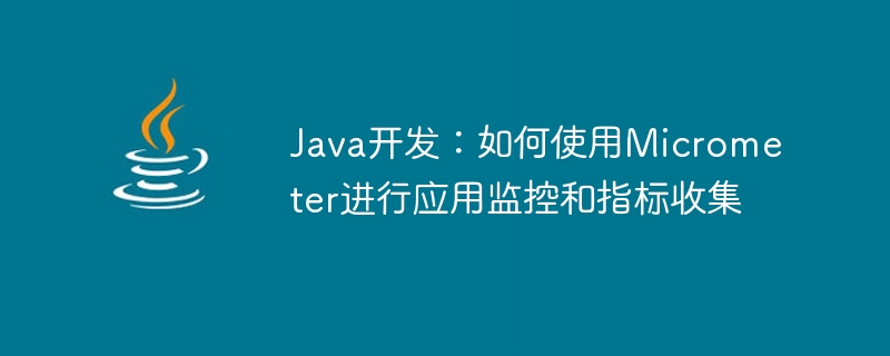 Java开发：如何使用Micrometer进行应用监控和指标收集