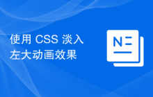 使用 CSS 淡入左大动画效果