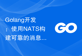 Développement Golang : créez une file d'attente de messages fiable à l'aide de NATS