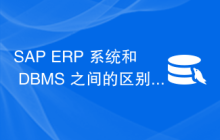 SAP ERP 系统和 DBMS 之间的区别
