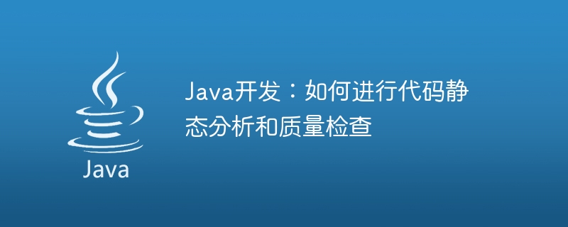 Java 開発: コードの静的分析と品質検査を実行する方法