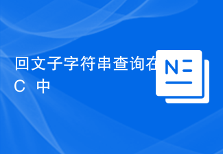 Palindromic substring query in C++