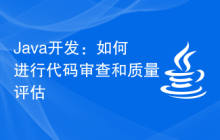 Java开发：如何进行代码审查和质量评估