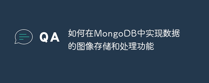 MongoDBにデータの画像保存と処理機能を実装する方法