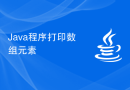 Java程序打印数组元素