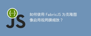 如何使用 FabricJS 为克隆图像启用视网膜缩放?