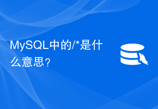 MySQL中的/*是什么意思？