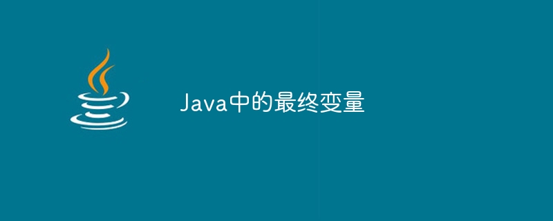 Java中的最终变量