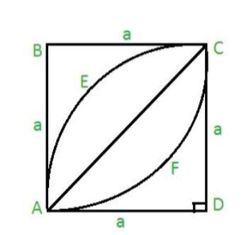 Calculate the area of ​​leaves within a square in C program