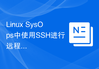 Linux SysOps中使用SSH进行远程脚本执行的方法