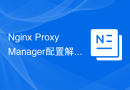 Nginx Proxy Manager配置解析与优化