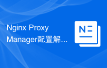 Nginx Proxy Manager配置解析与优化