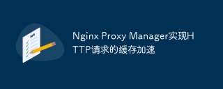 nginx proxy manager实现http请求的缓存加速