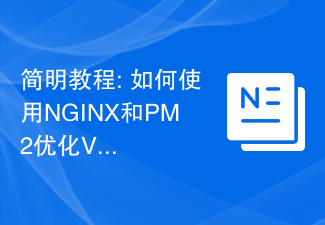 簡潔なチュートリアル: NGINX と PM2 を使用して VPS サーバーのリソース管理を最適化する方法