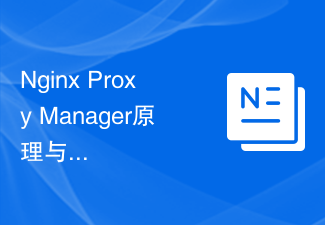 Prinzipien und Praxis des Nginx-Proxy-Managers: Der Schlüssel zur Optimierung der Website-Leistung
