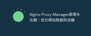 nginx proxy manager原理与实践:优化网站性能的关键