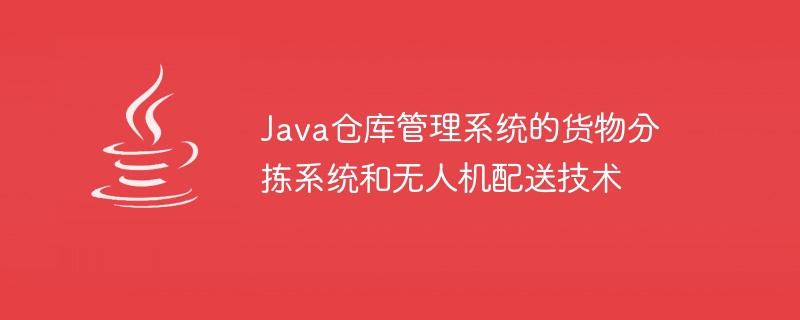 Java仓库管理系统的货物分拣系统和无人机配送技术