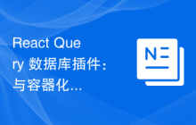 React Query 数据库插件：与容器化技术的深度集成