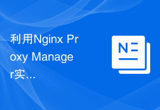 利用Nginx Proxy Manager实现反向代理的负载均衡策略