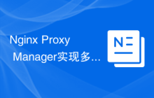 Nginx Proxy Manager实现多级缓存的部署与配置